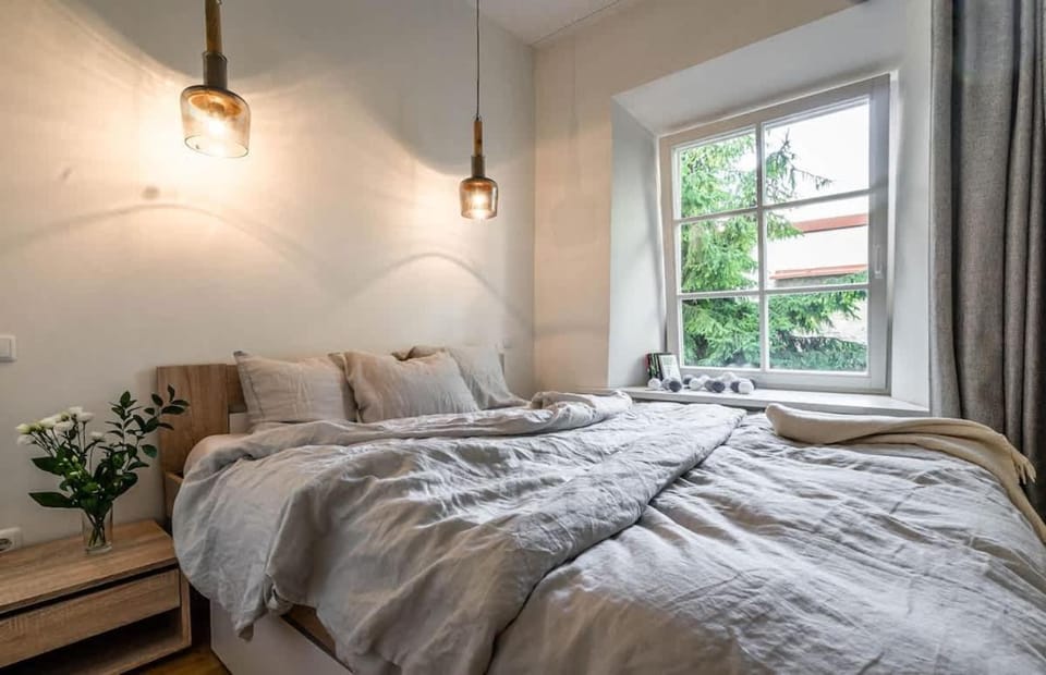 Domillion New City Hall Duplex D11C for 12 ppl Apartment in Vilnius