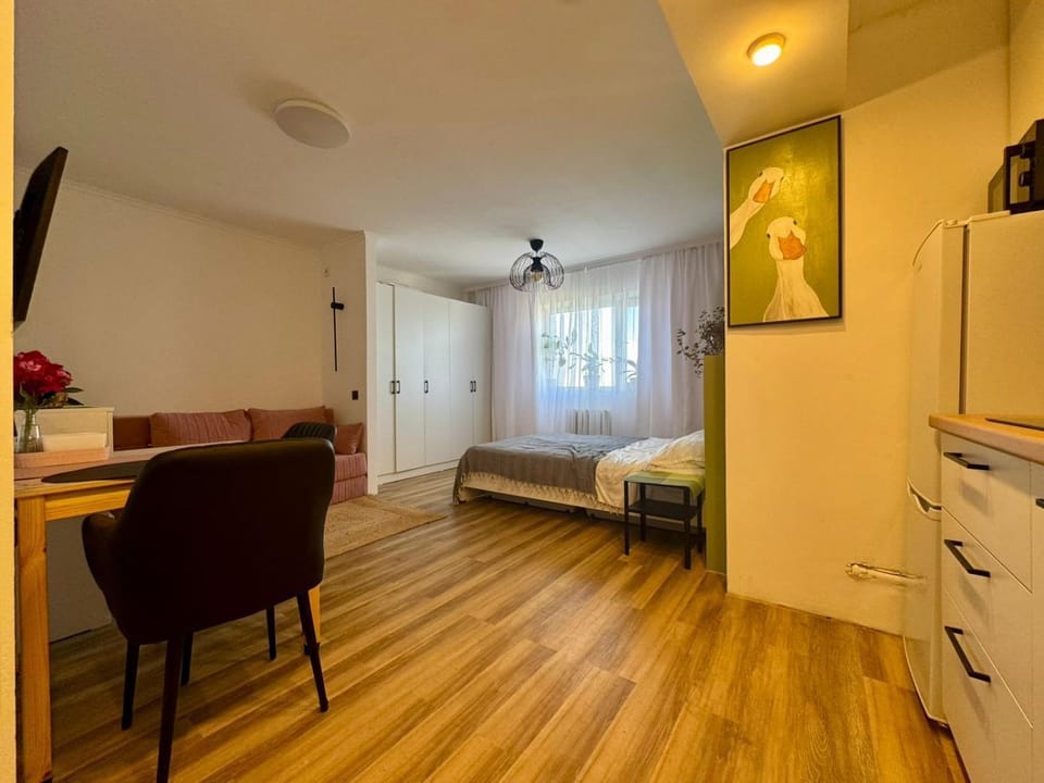 Bed, Living room, Photo of the whole room, Seating area, Dining area, wardrobe