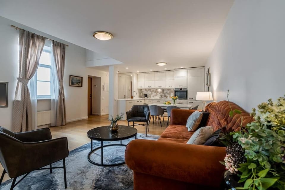 Domillion 3bdr Huge Town Hall Luxury Apt AC D3948 Apartment in Vilnius