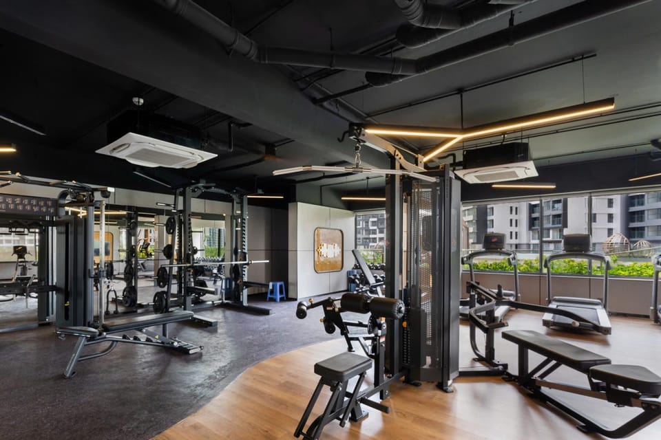 Skylinked Villa in Celadon City- Căn Hộ có gara Xe Hơi Riêng Apartment in Ho Chi Minh City