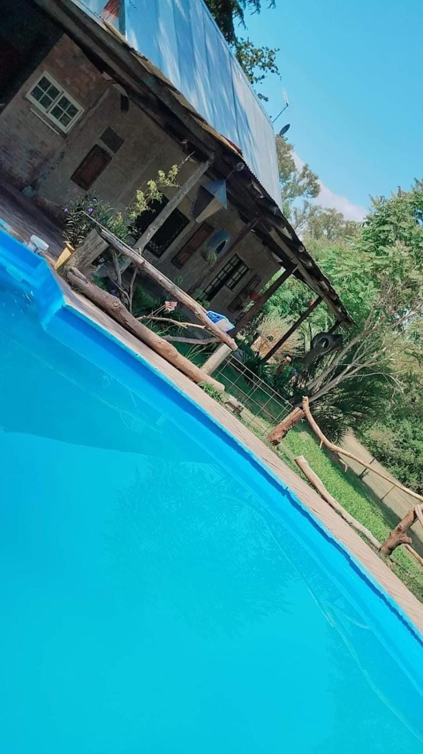 Day, Pool view, Swimming pool, Swimming pool