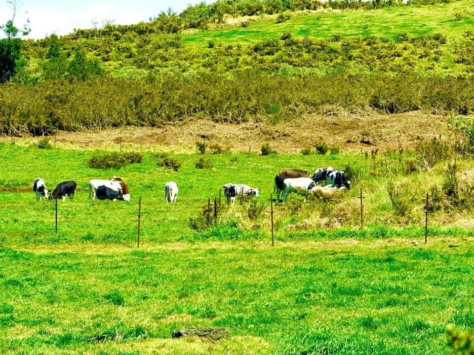 L'Eden De La Grande Ferme House in Réunion