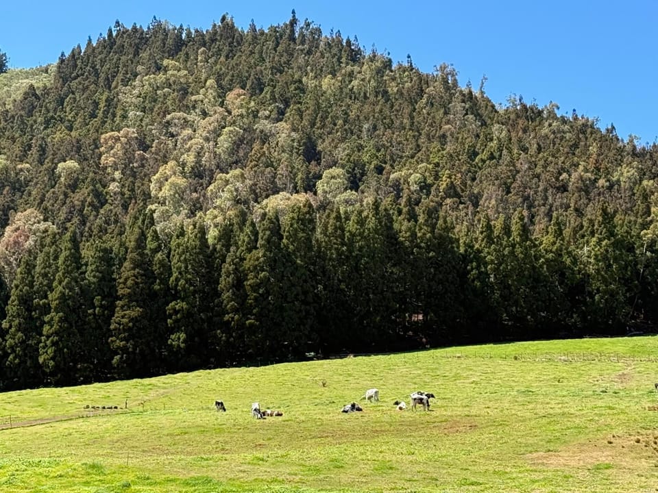 L'Eden De La Grande Ferme House in Réunion