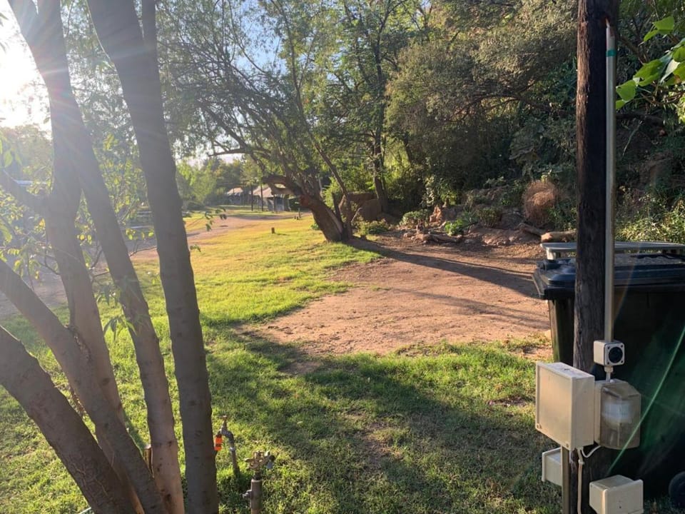 Day, Natural landscape, Garden, Garden view