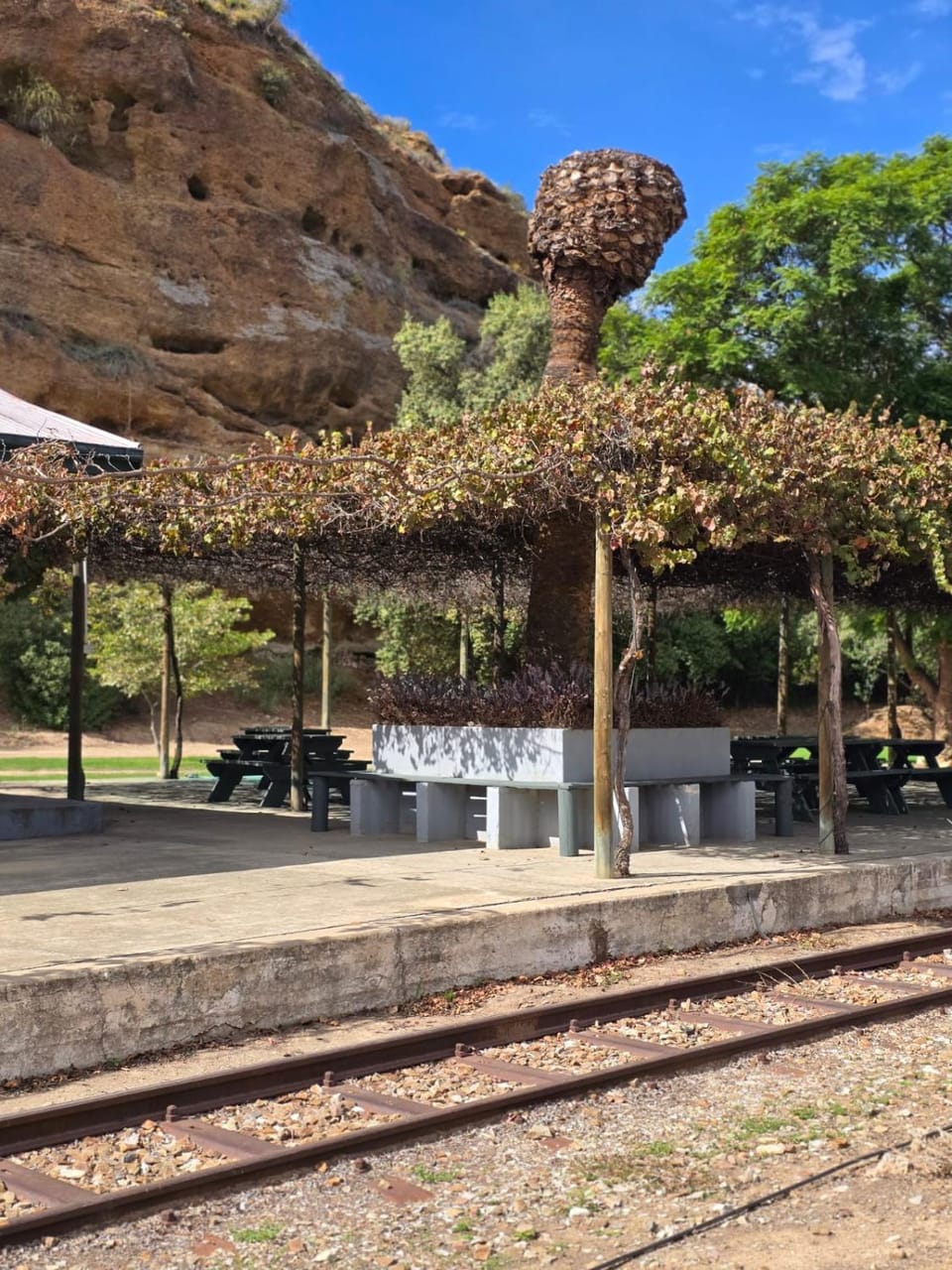 Garden, Seating area, Garden view