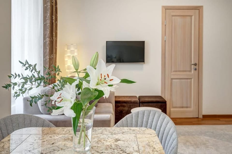 Domillion New Old Town Amber 1bdr Z1B4 Apartment in Vilnius