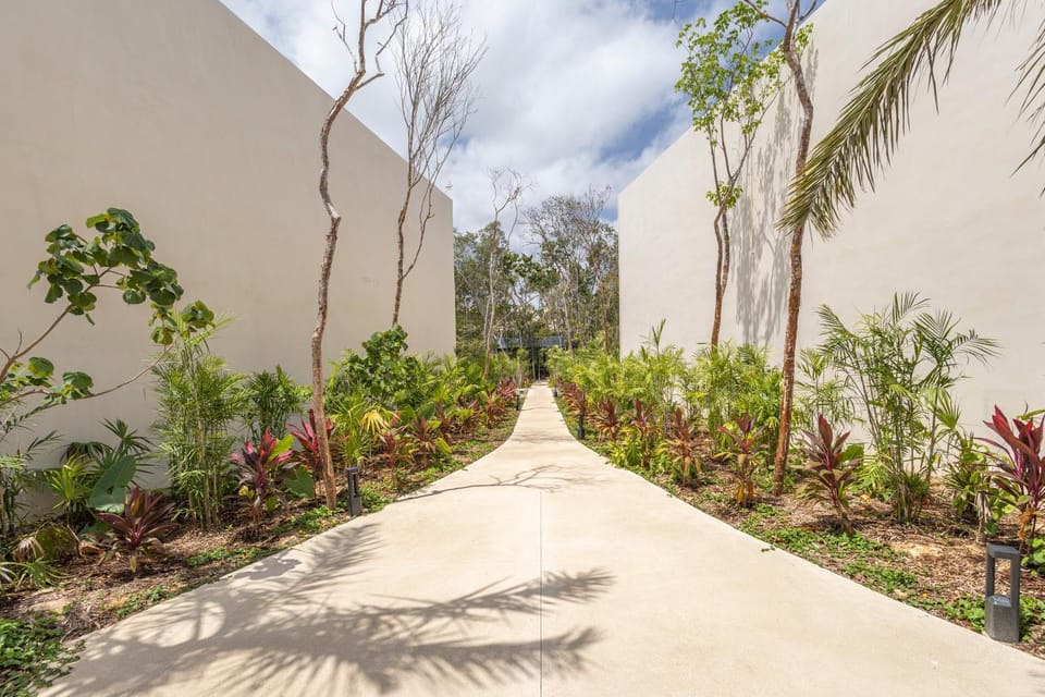Natural landscape, Garden view