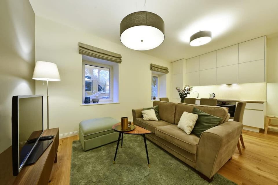 Domillion old town duplex 14ppl free parking L4D House in Vilnius