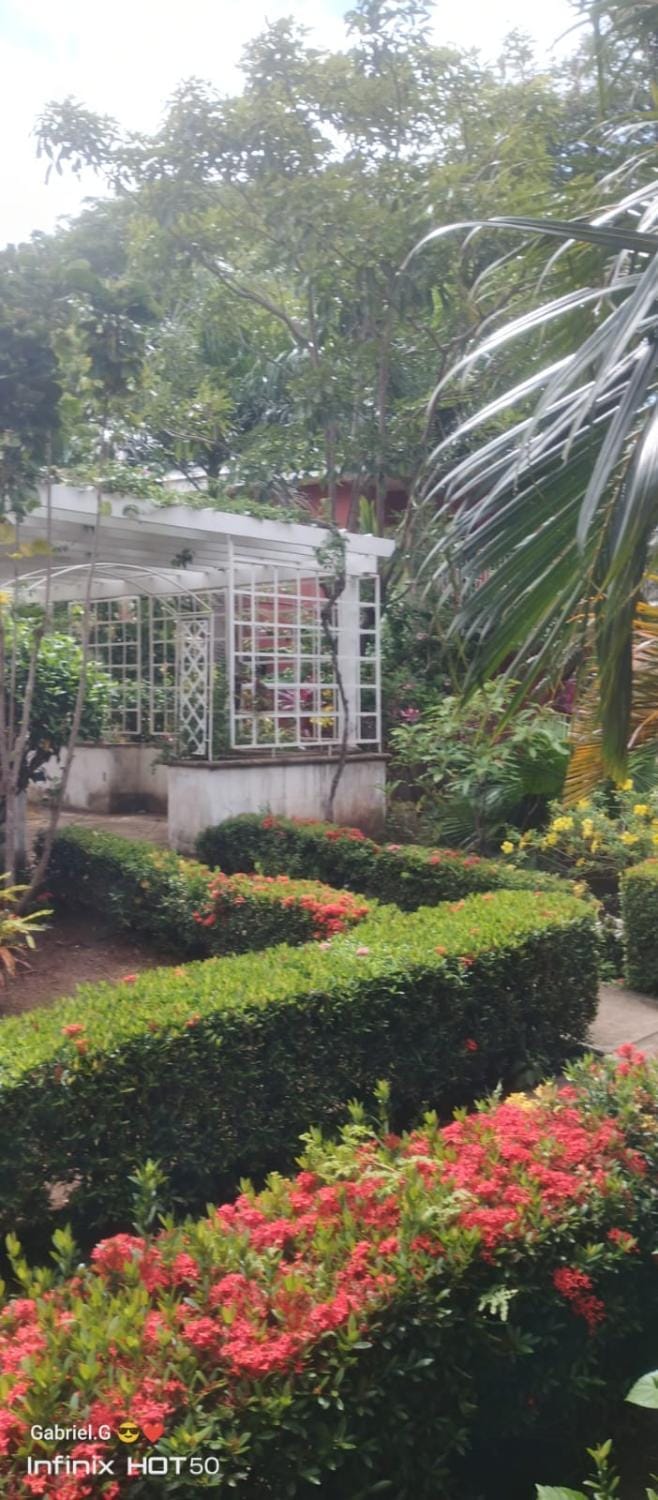 Garden, Lounge or bar, Garden view