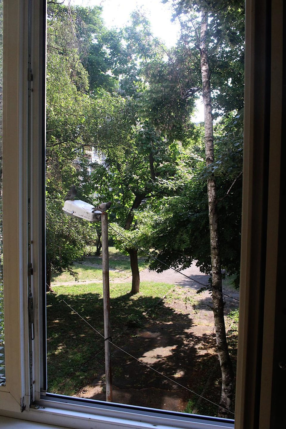 Natural landscape, Garden, Garden view