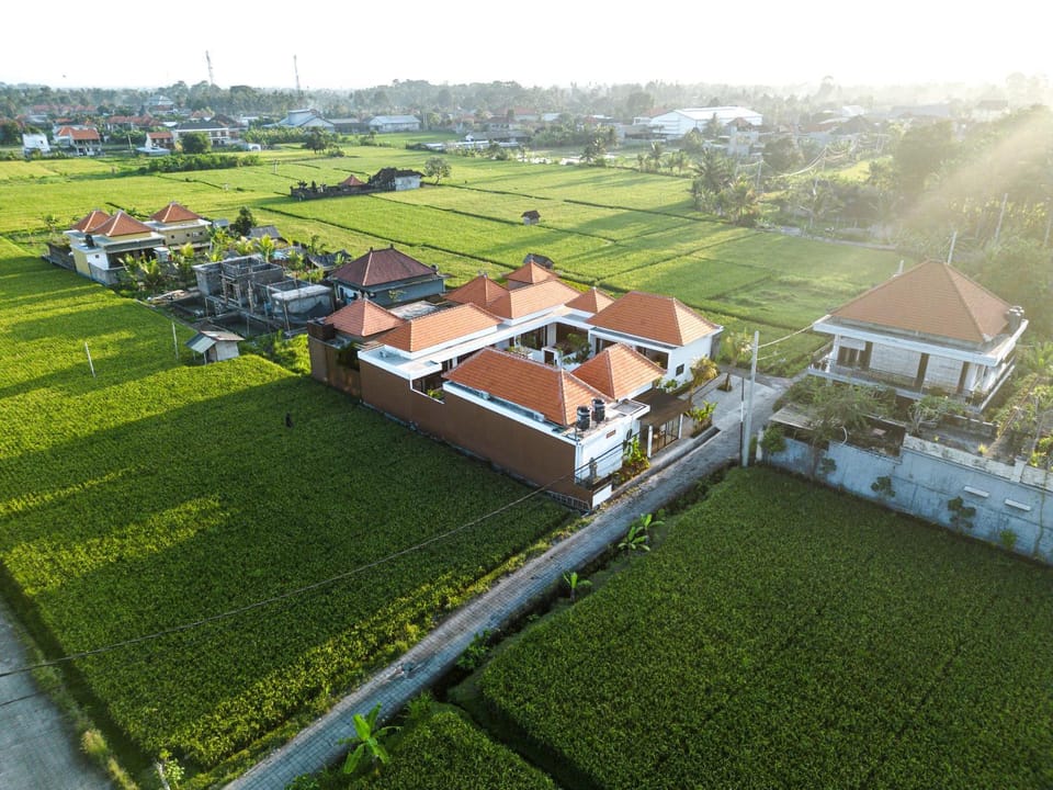 Property building, Neighbourhood, Natural landscape, Bird's eye view