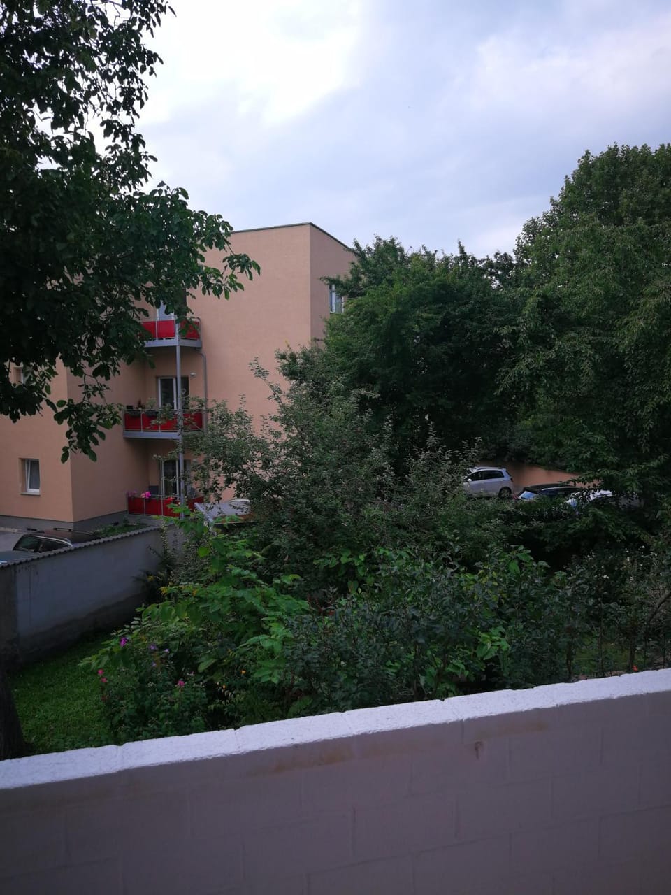 Garden view