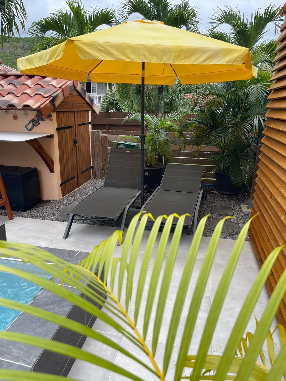 Citronnelle Apartment in Le Diamant