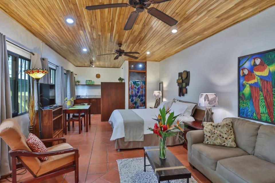 El Gekko spacious studio Apartment in Quepos