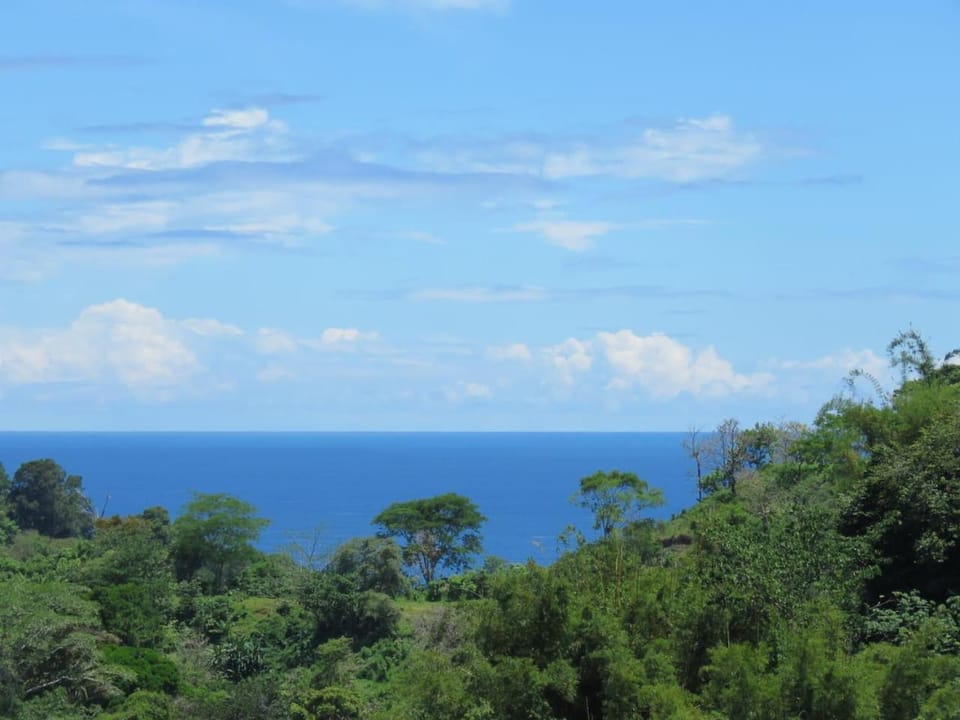 Monteverde, 1 Bedroom Apartment in La Maison Blanche, Nature Apartment in Quepos
