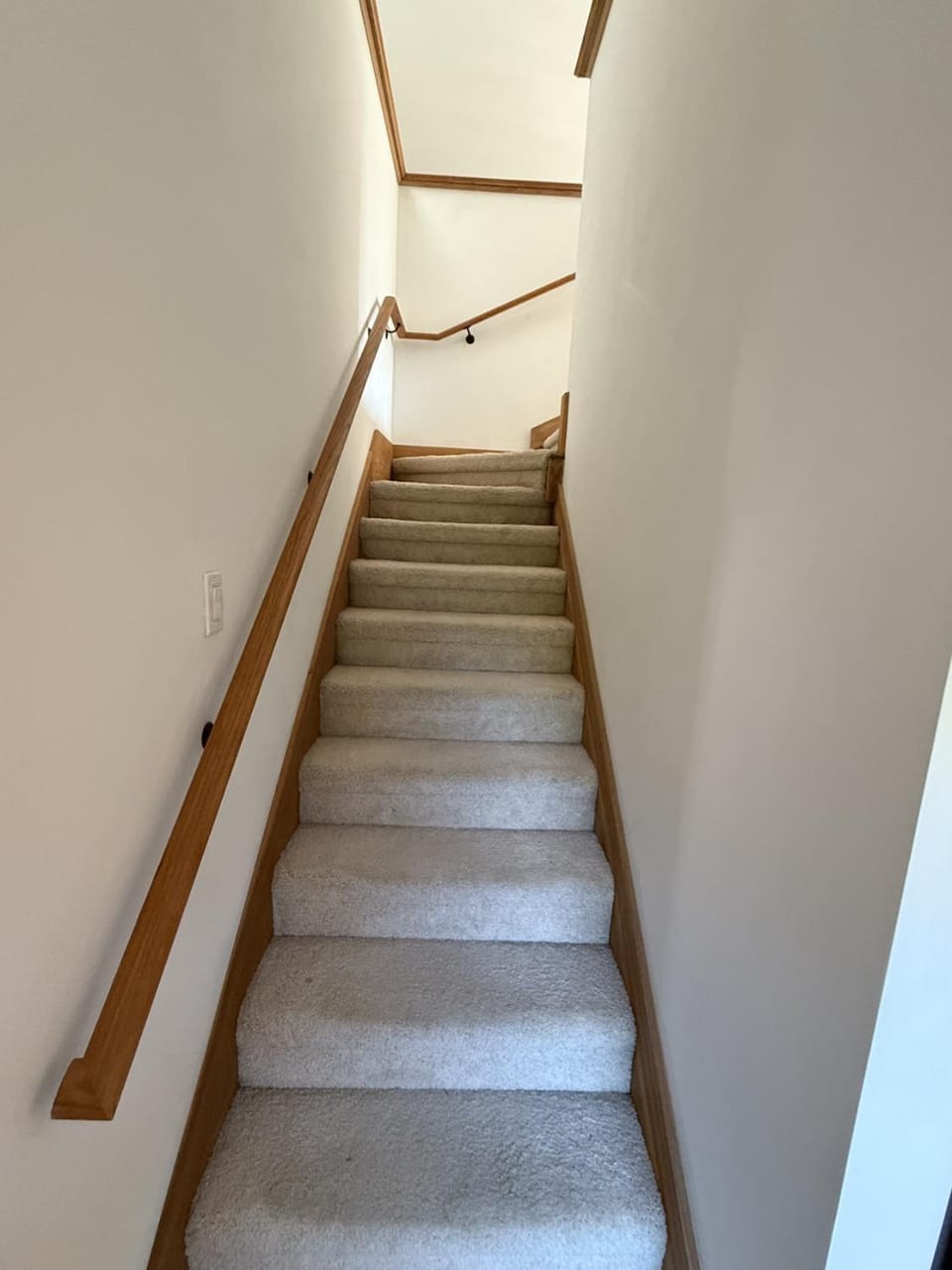 The Woodland Loft at Falmouth House in Falmouth