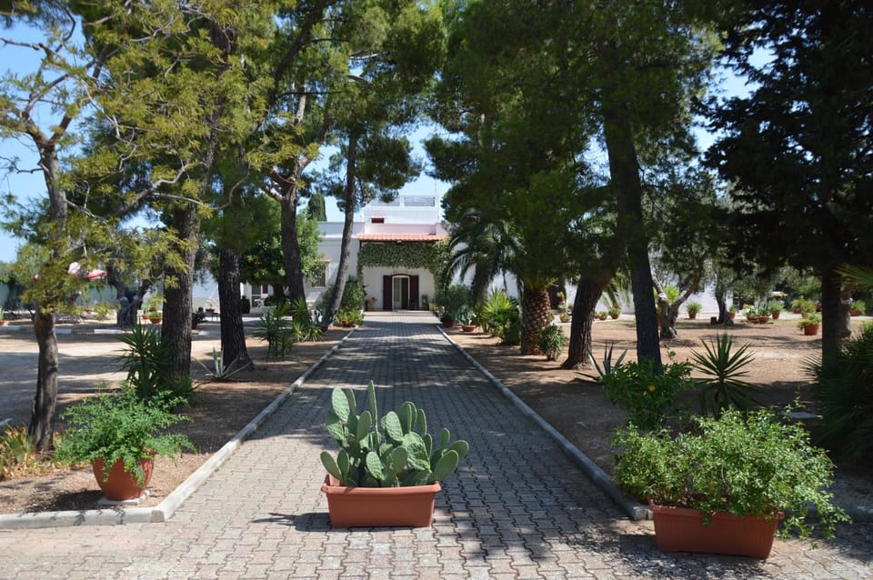 Garden, Garden, Garden view