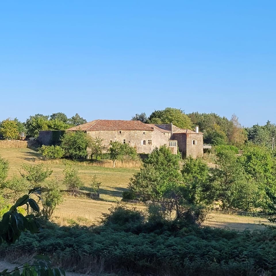 Nature et coquelicots - Gîte pour 4 personnes House in Provence-Alpes-Côte d'Azur