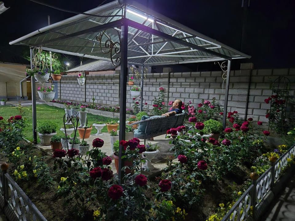 Spring, Night, Garden, Garden view
