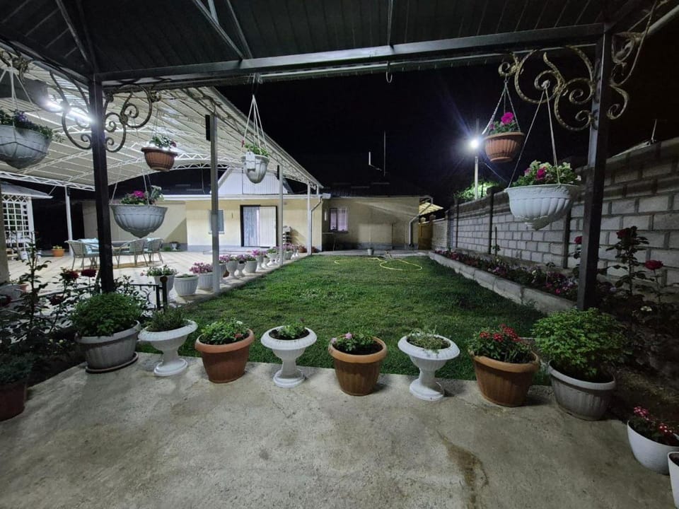 Night, Garden view