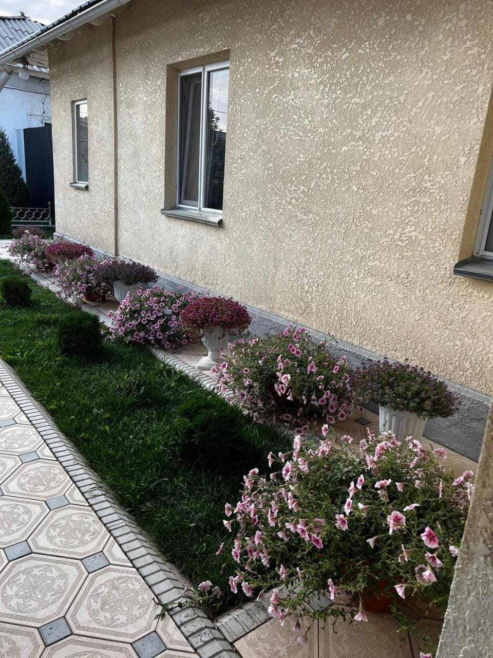 Property building, Spring, Day