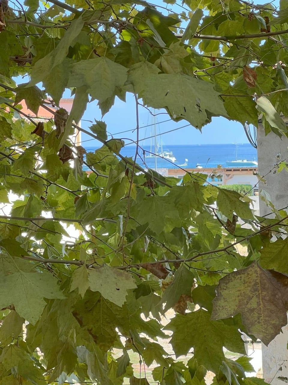 Sea view