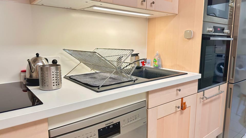 Kitchen or kitchenette, dishwasher, stove