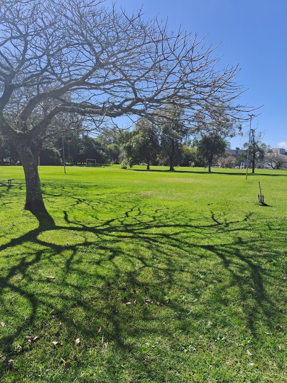 Natural landscape, Children play ground