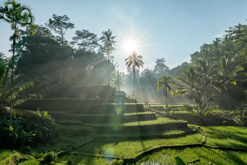 Natural landscape