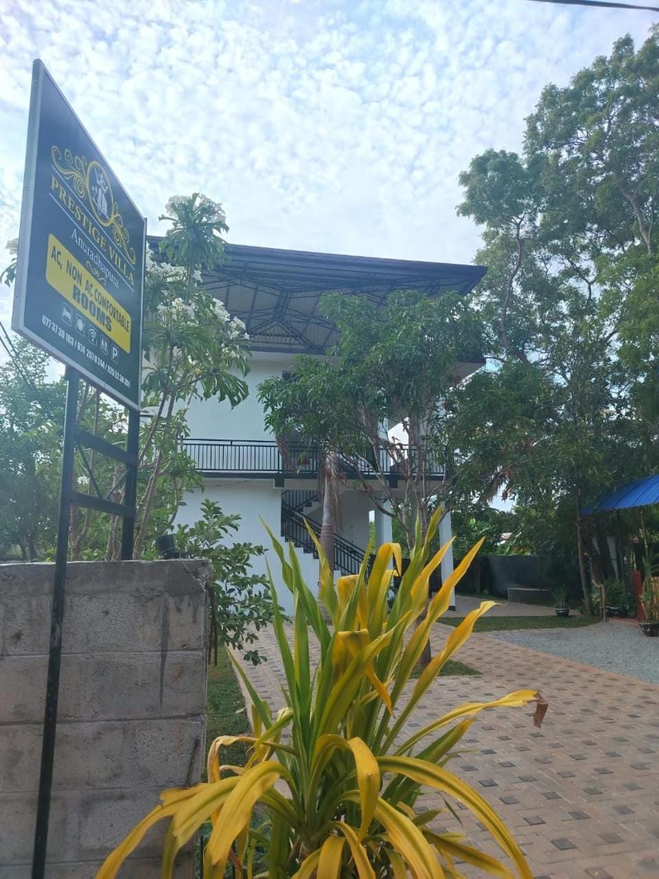 Day, Street view