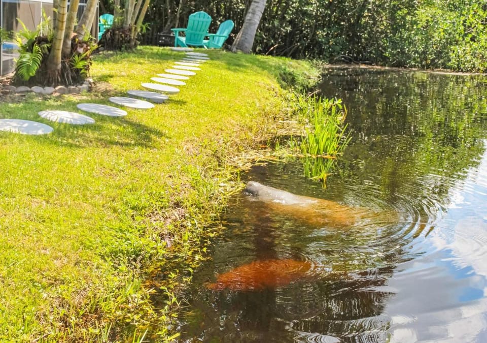 Spring, Day, Natural landscape, Garden, Garden, Garden view, Lake view, River view