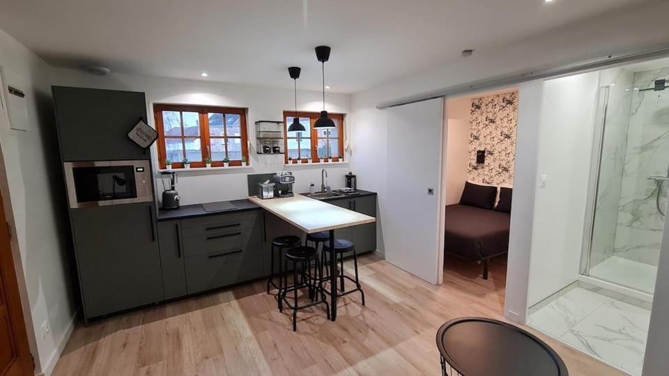 Kitchen or kitchenette, Dining area, Bedroom