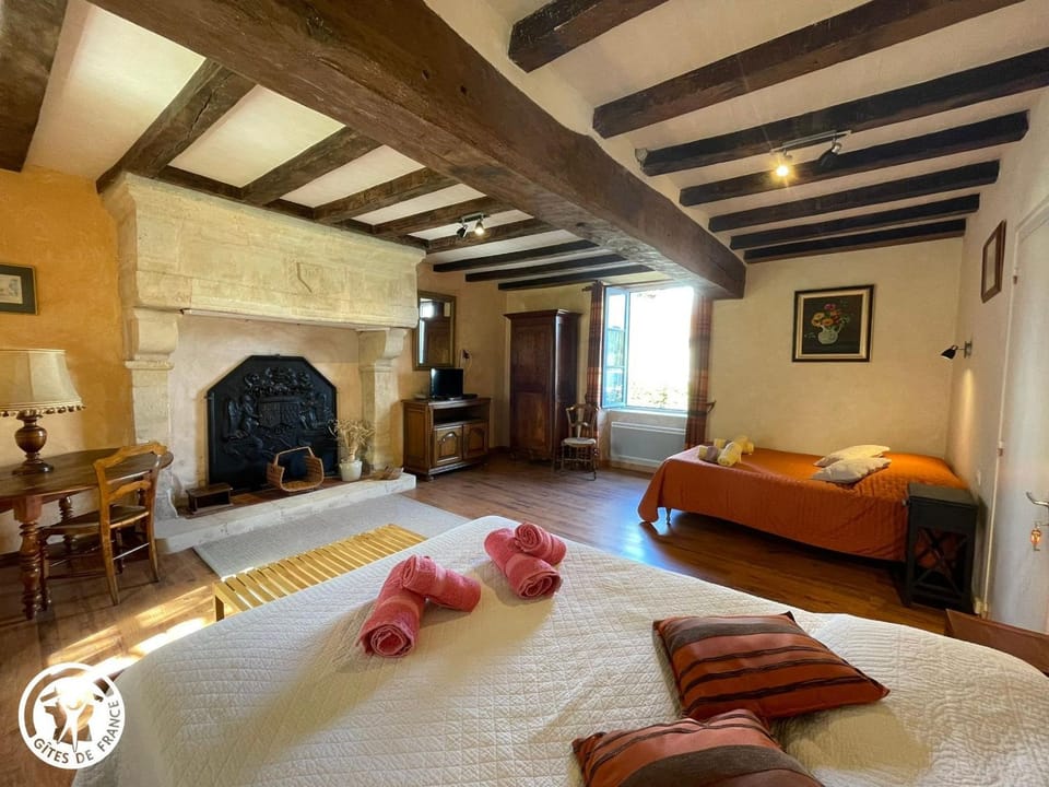 Gîte en cité médiévale de Vouvant avec parking privatif, 4 chambres - FR-1-426-590 House in Pays de la Loire