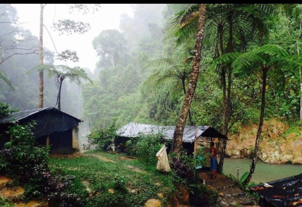 Green View Homestay & Jungle Trekking, Book Your Jungle Trek & Stay With Us Vacation rental in Indonesia
