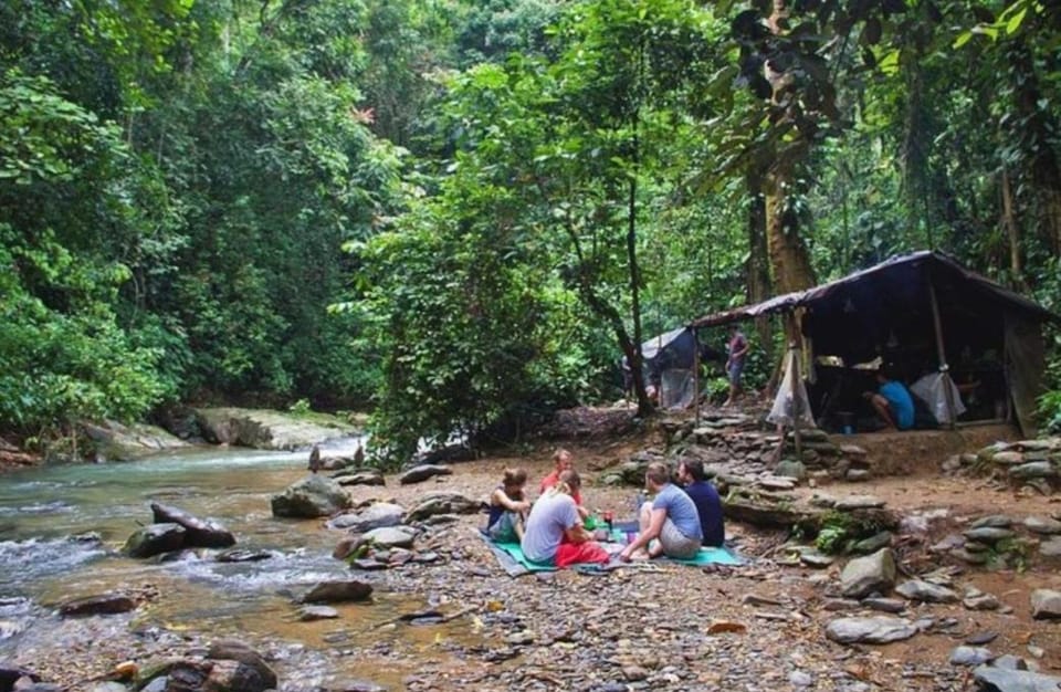 Green View Homestay & Jungle Trekking, Book Your Jungle Trek & Stay With Us Vacation rental in Indonesia