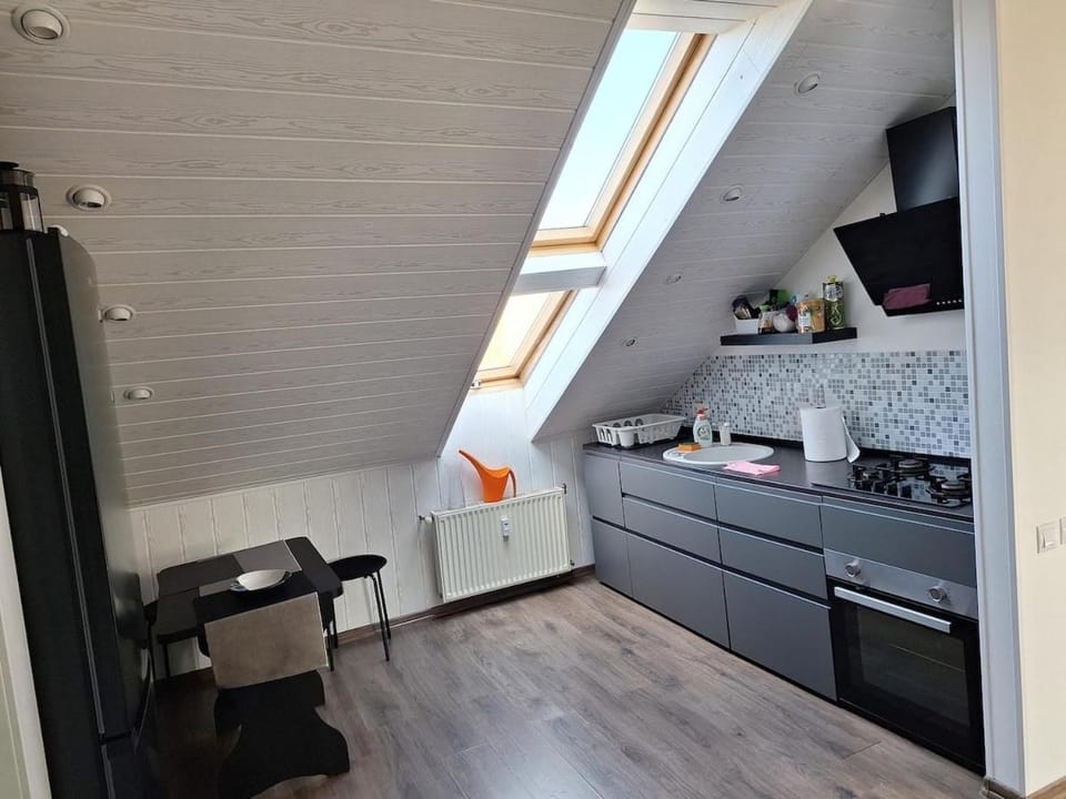 Nice and cozy loft apartment Apartment in Riga