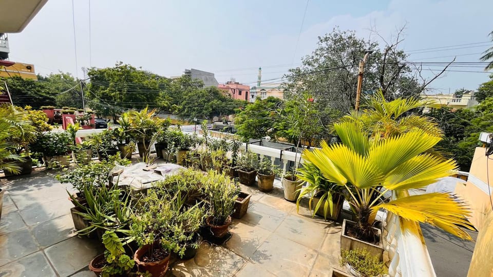 Spring, Day, Garden, Garden view