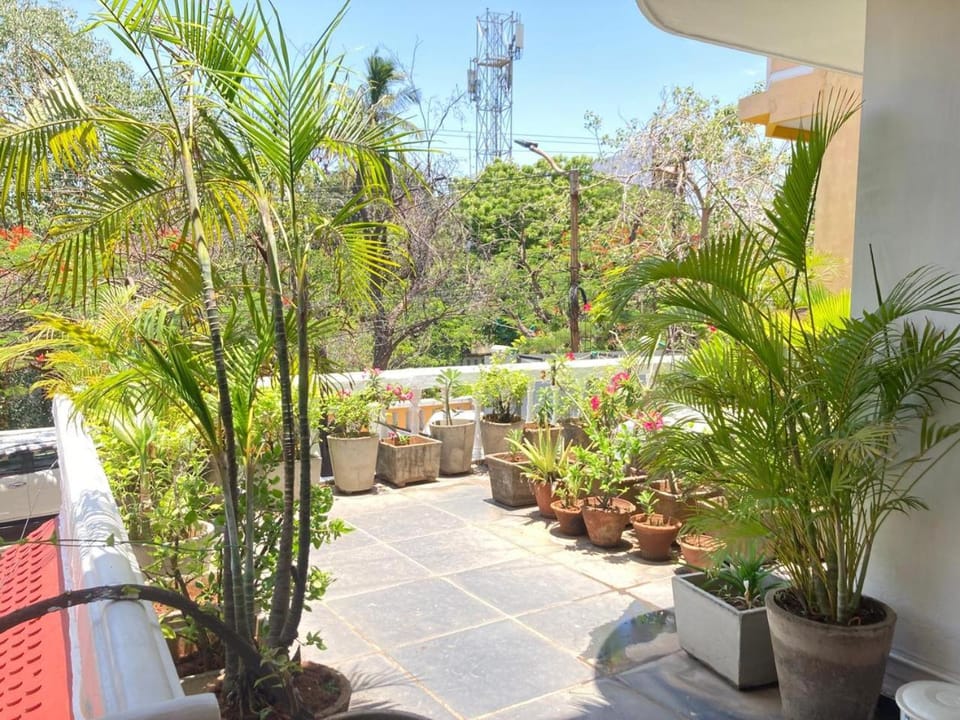 Garden, Garden view
