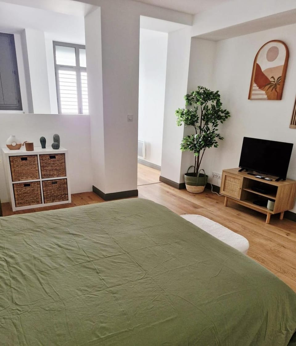 Studio 11 Apartment in Occitanie