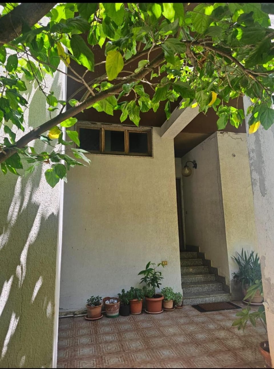 Property building, Garden