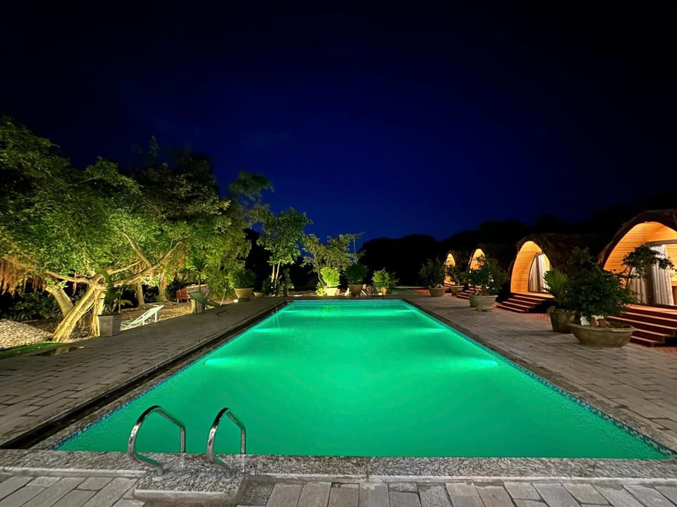 Night, Pool view, Swimming pool, sunbed