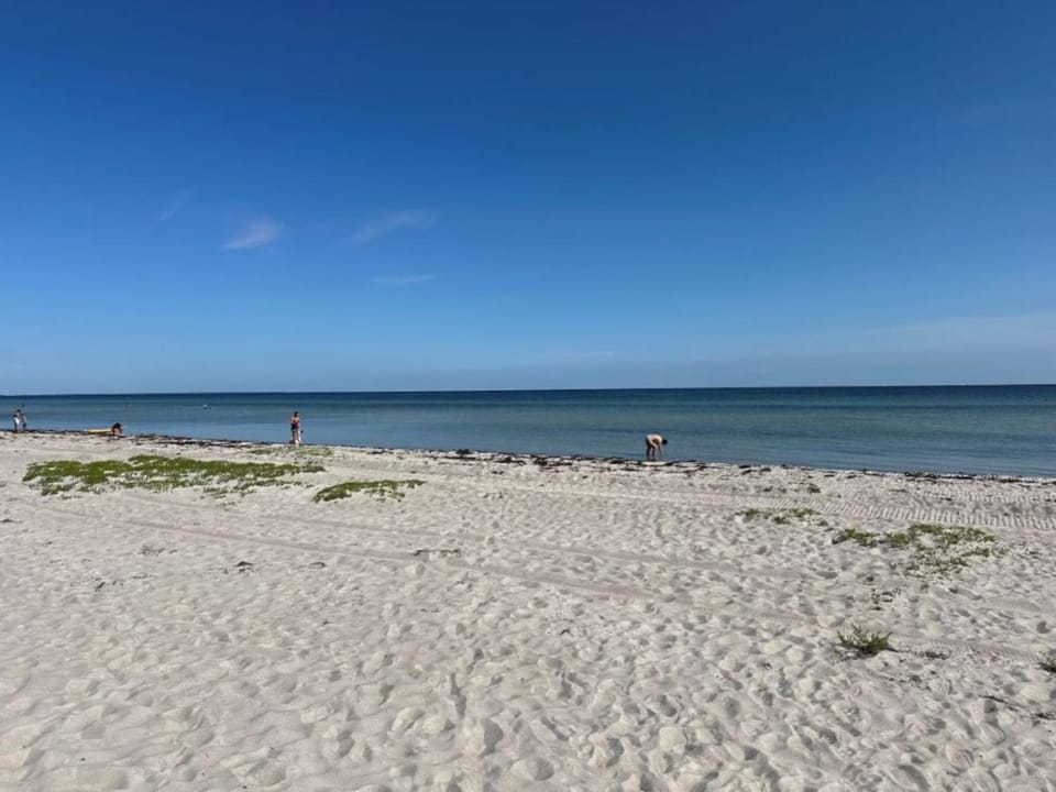 Day, Natural landscape, Beach, Location