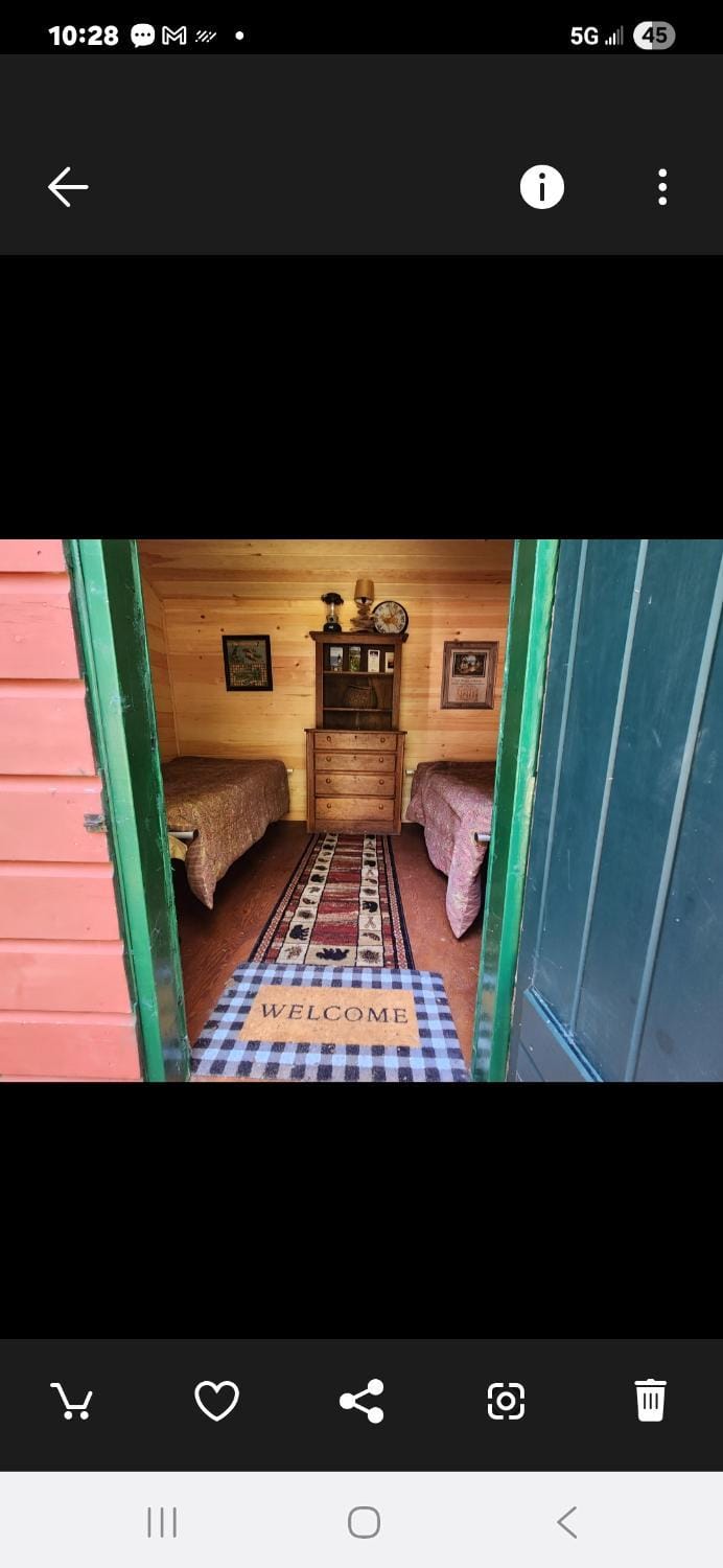 Twin Bucks Cabin Cabin in Maine