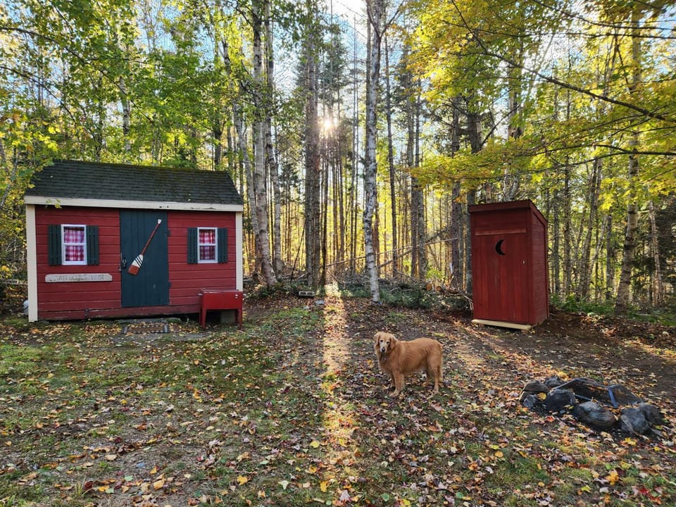 Twin Bucks Cabin Cabin in Maine