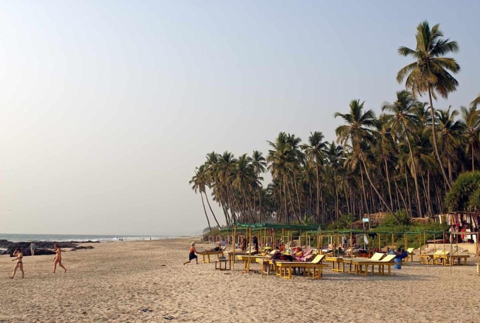 Hidden Haven, Eden in India ! Quietest stay in Goa Apartment in Mandrem