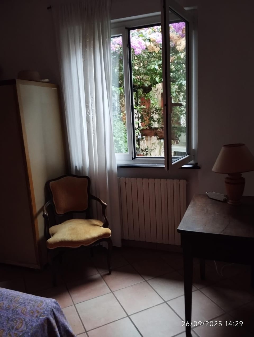View (from property/room)