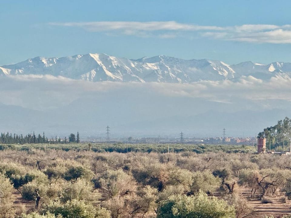 Private Garden Villa - Rooftop, BBQ, Pools and Views Apartment in Marrakesh