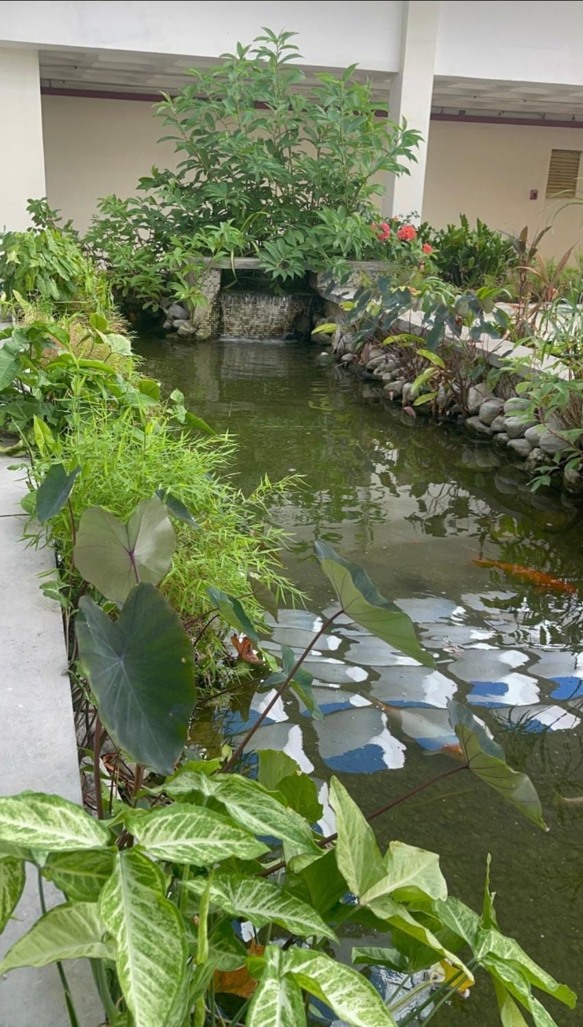 Spacious two bedrooms with sea and city view Apartment in Portmore
