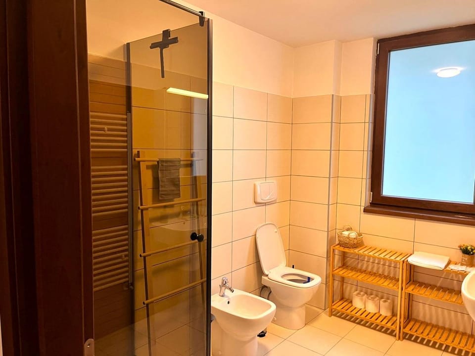 Shower, Toilet, Bathroom, bidet, towels