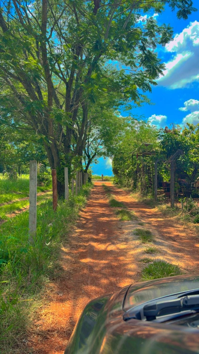 Spring, Natural landscape
